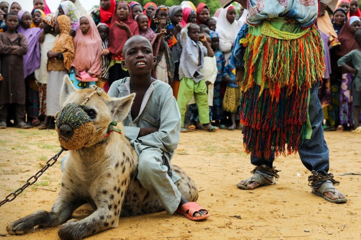 Nuoi linh cau de giai tri o Nigeria anh 5