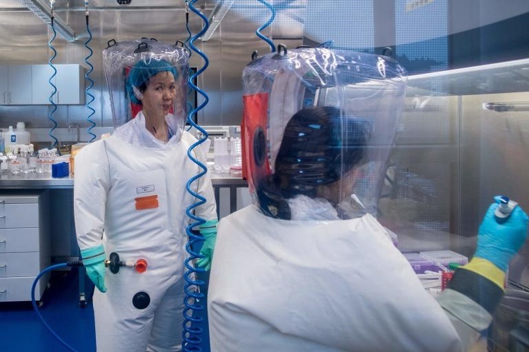 Dien bien khac thuong o Ho Bac truoc khi cong bo ca nCoV dau tien hinh anh