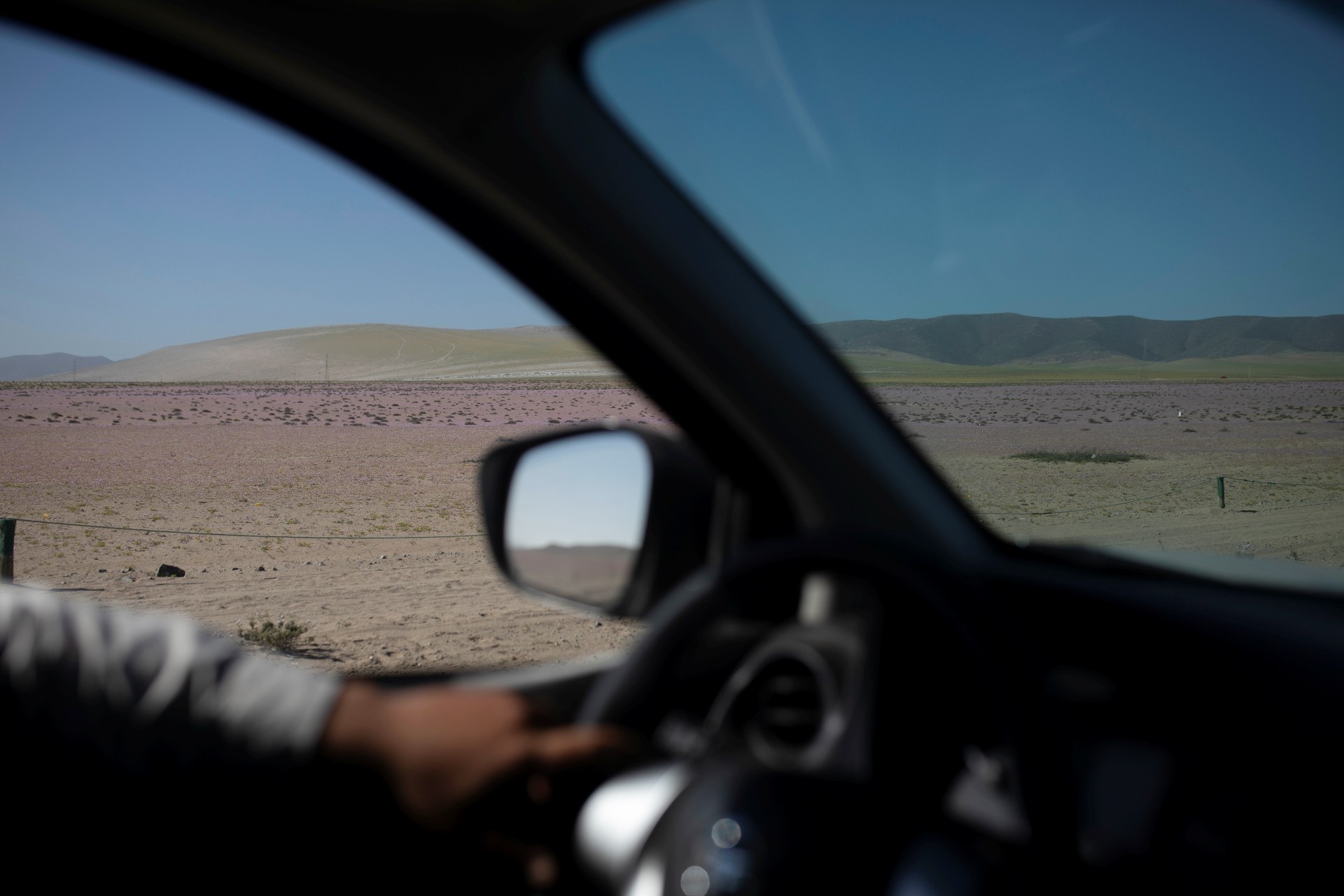 hoa no tran ngap tren sa mac anh 8