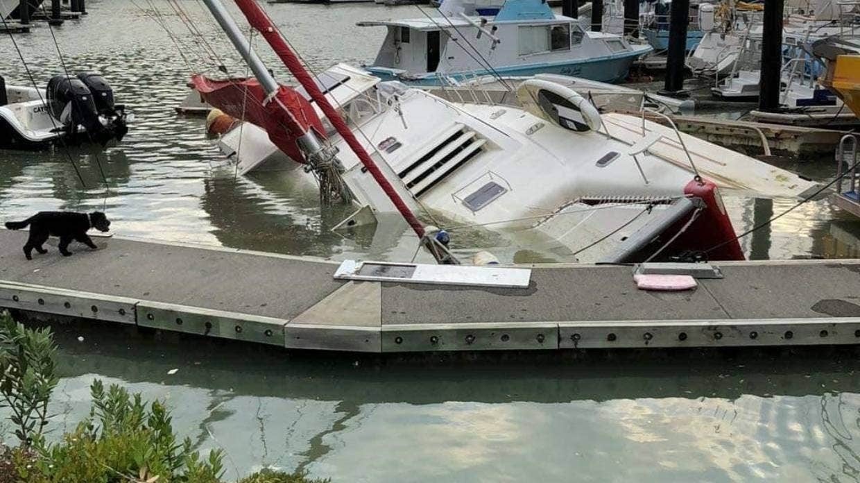 song than Tonga tan cong New Zealand anh 3