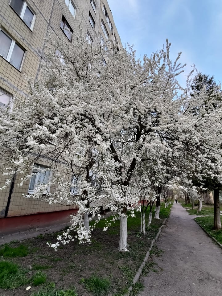 cuoc song trot lai o Kyiv anh 3