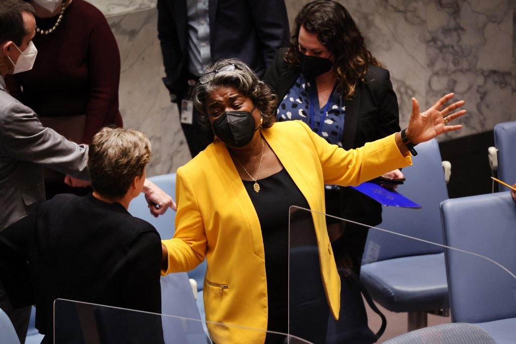 My va Trung Quoc doi dau tai Hoi dong Bao an Lien Hop Quoc hinh anh