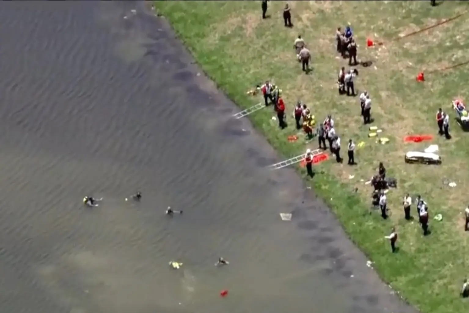 Linh ban tia Florida yem tro canh sat cuu nan trong ao day ca sau anh 2