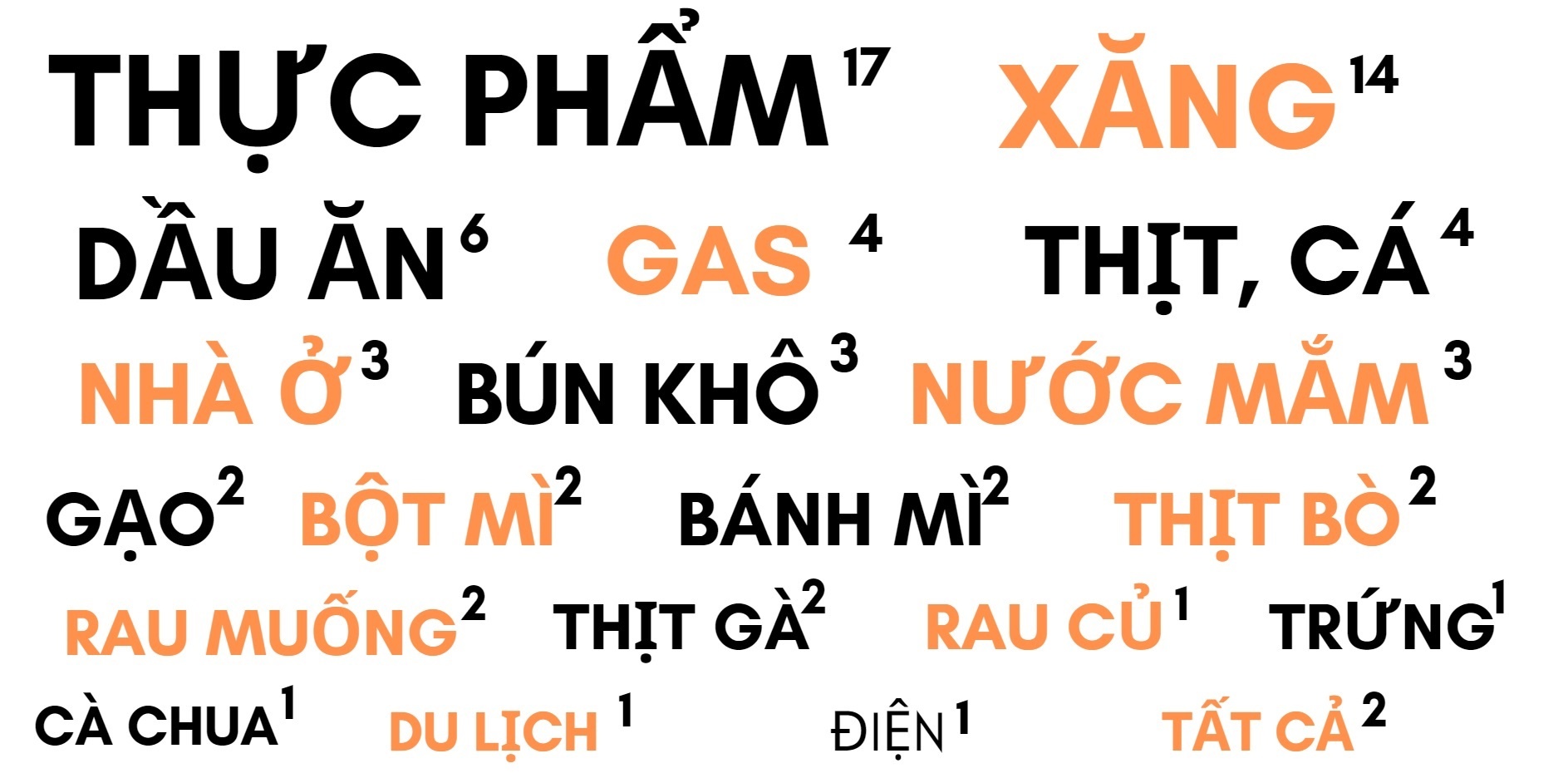 Nguoi Viet o My va chau Au thoi lam phat anh 2