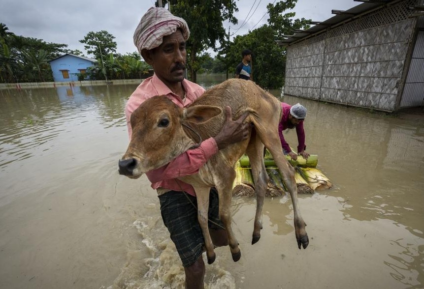 Hang trieu nguoi dieu dung vi tran lu chet choc o An Do va Bangladesh hinh anh