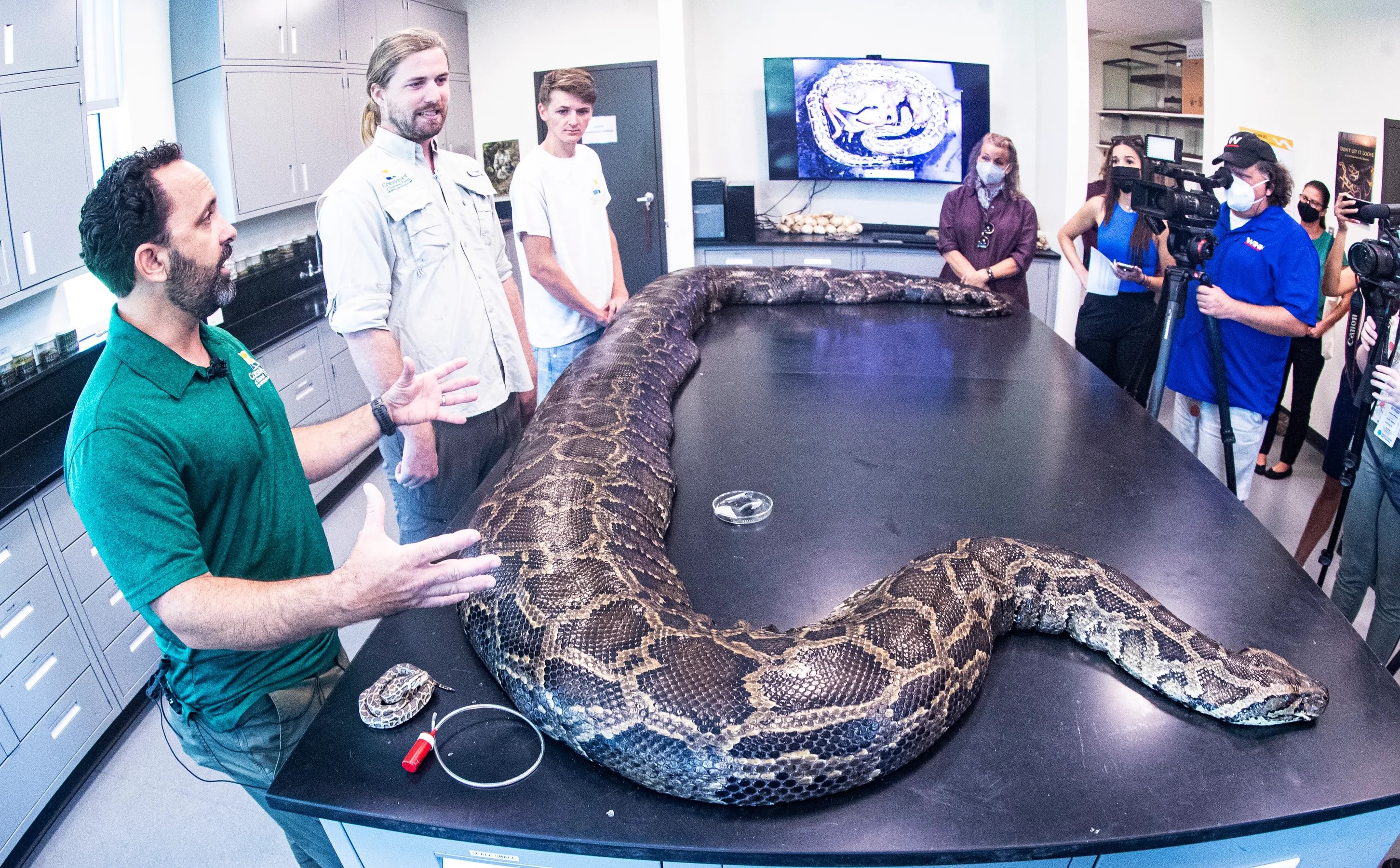 Mo bung con tran lon o Florida hinh anh