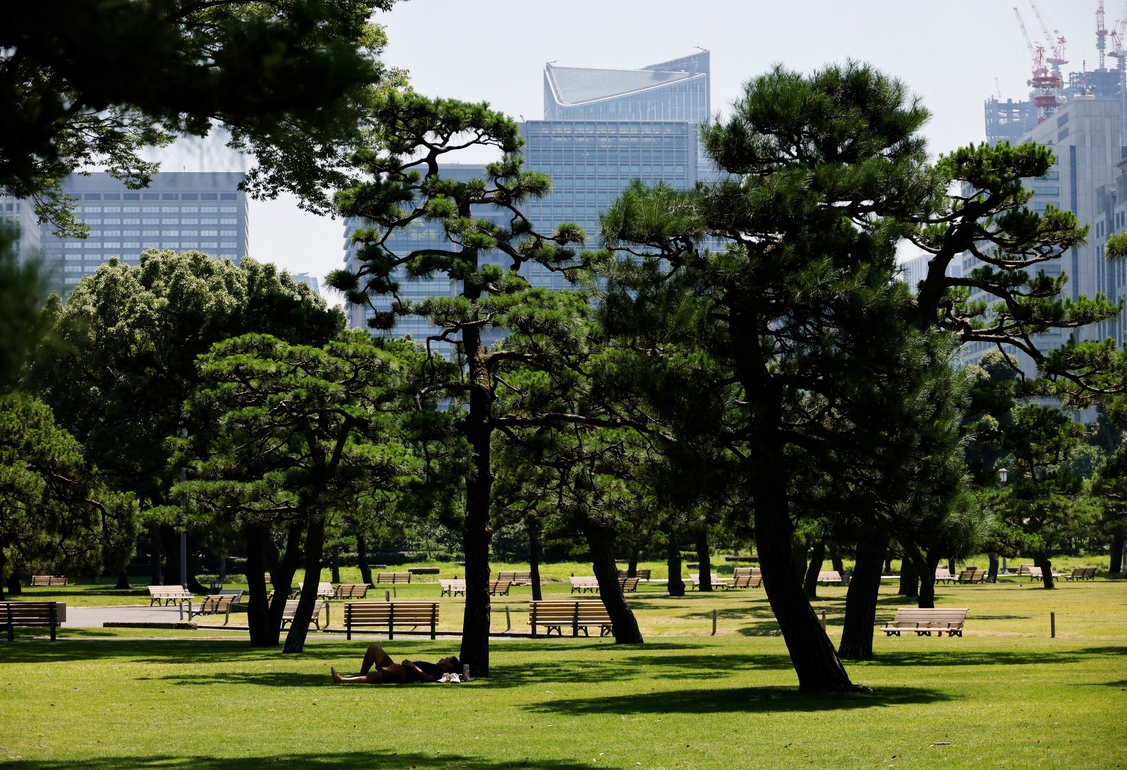 Nang nong ky luc trong 150 nam o Tokyo anh 5