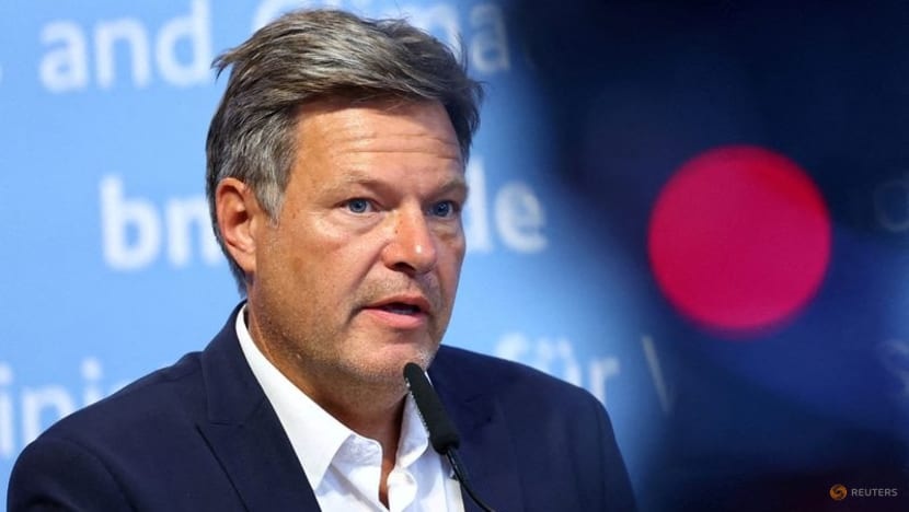 Bo truong Duc khong muon giu cac nha may dien hat nhan cuoi cung hinh anh