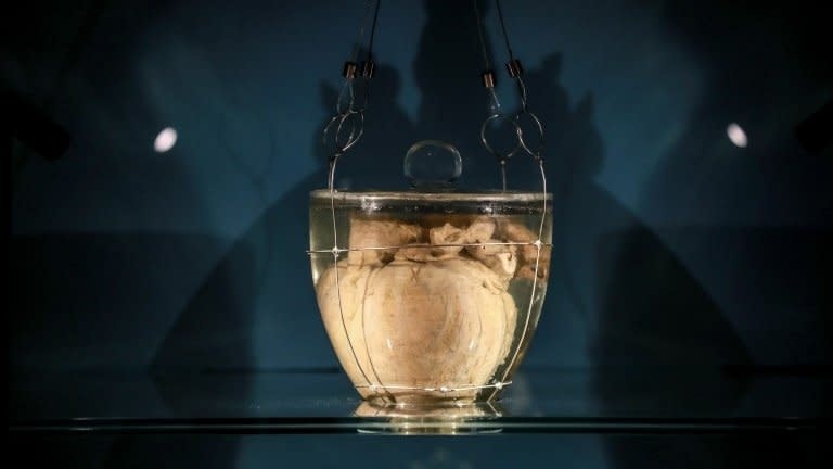 Trai tim hoang de dau tien cua Brazil den thu do Brasilia hinh anh