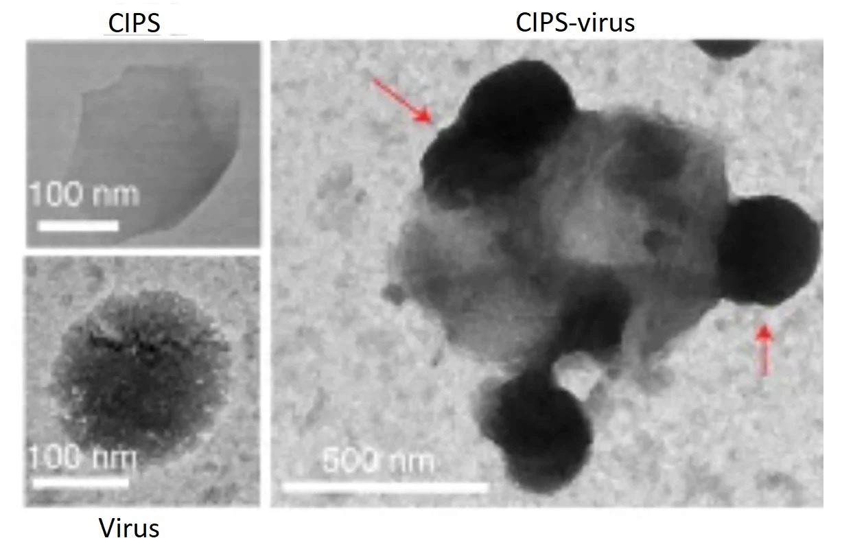 lieu phap khang Covid-19 moi anh 1