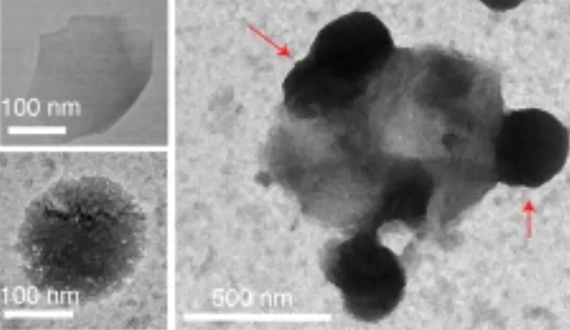 Vat lieu moi chong duoc tat ca bien chung chinh cua  SARS-CoV-2 hinh anh