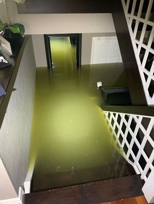 Bao Ian do bo Floria anh 2