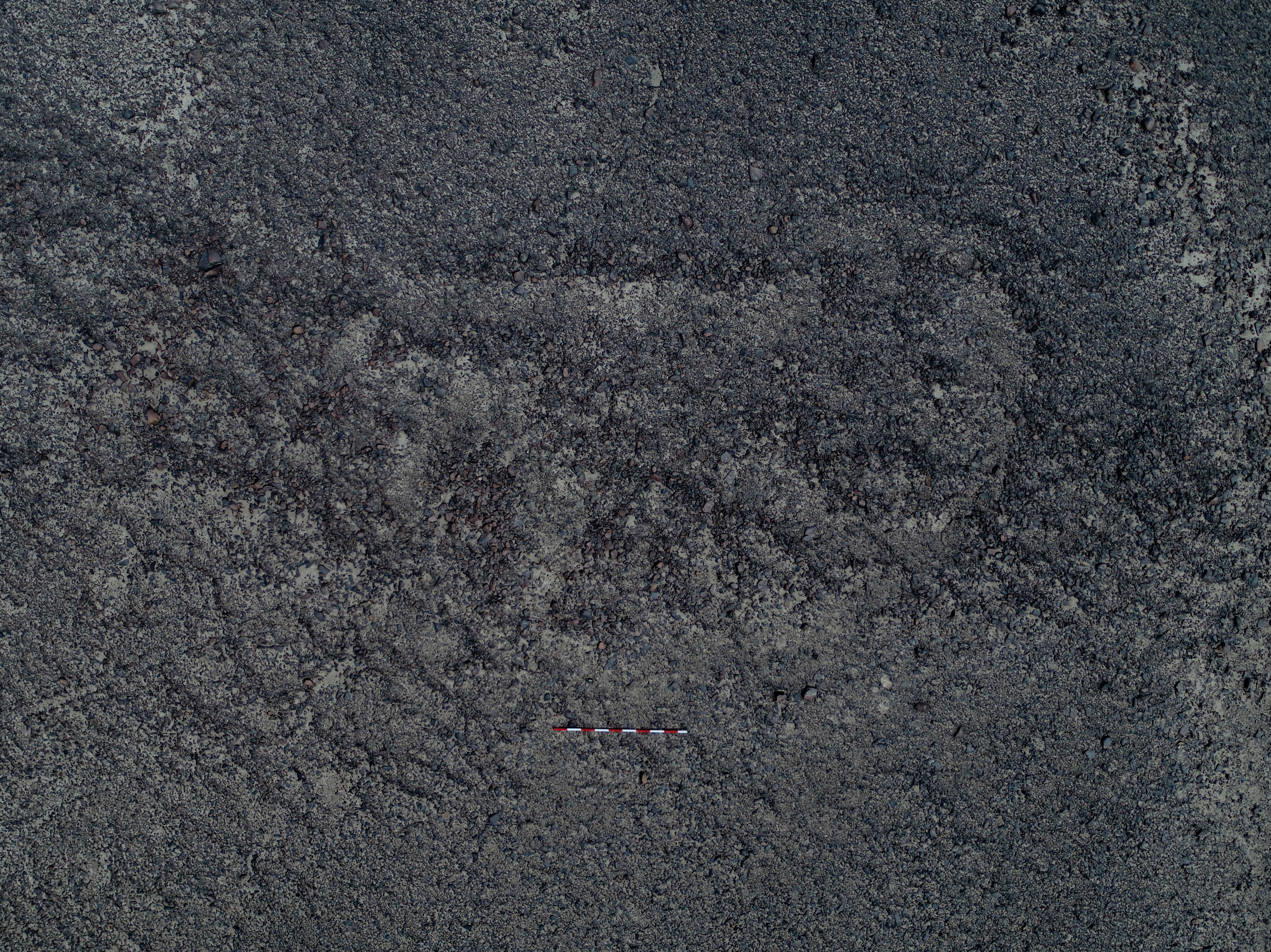 hinh ve co Peru anh 10