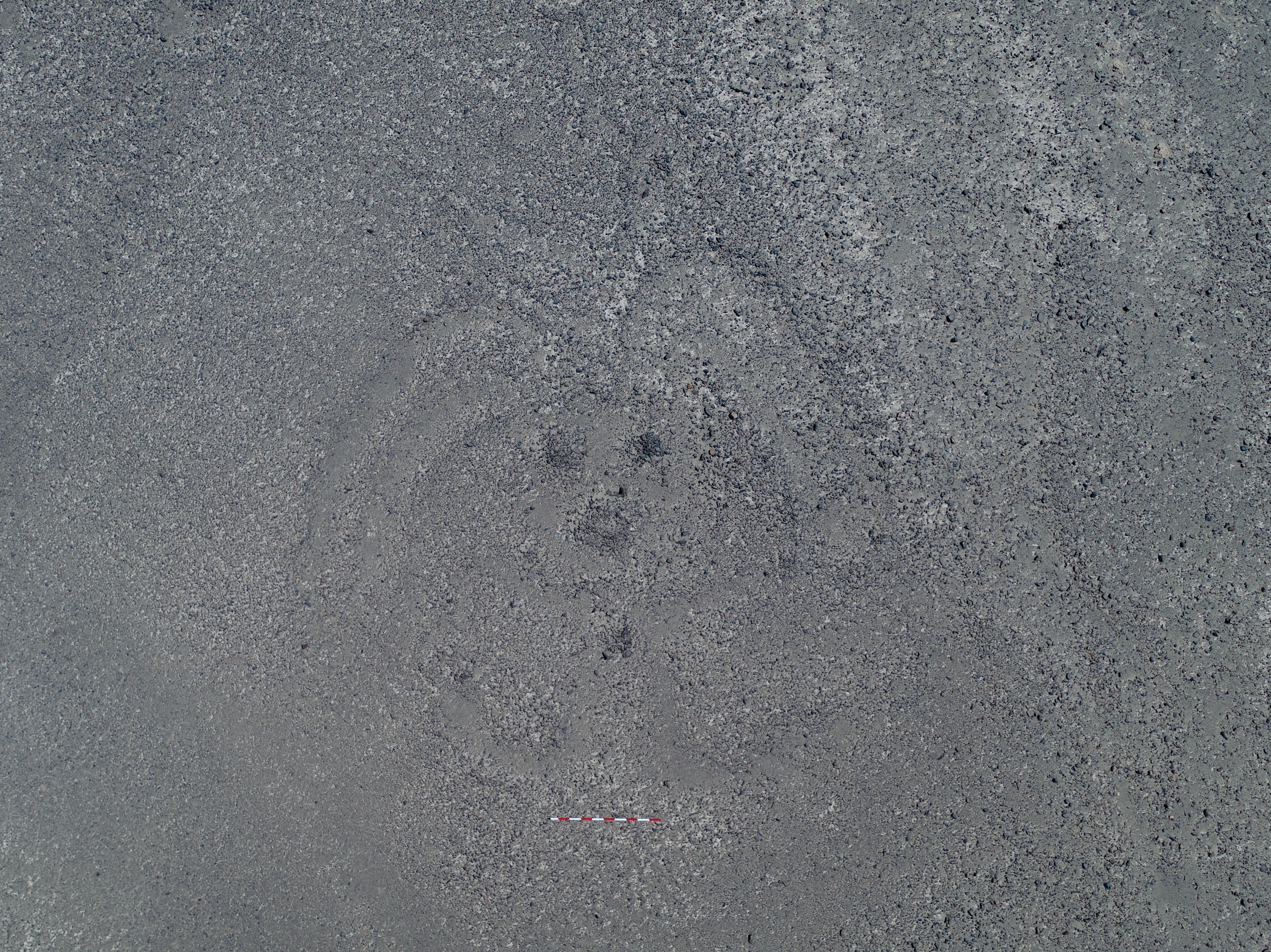 hinh ve co Peru anh 3