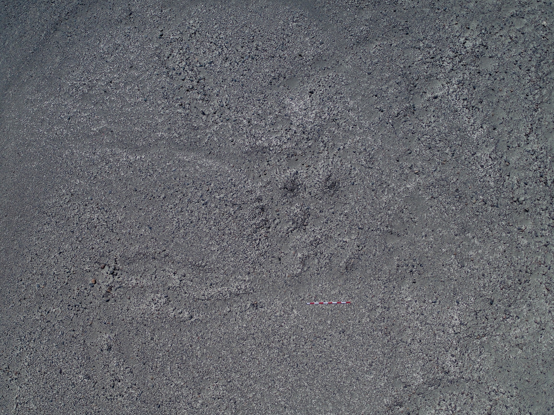 hinh ve co Peru anh 5