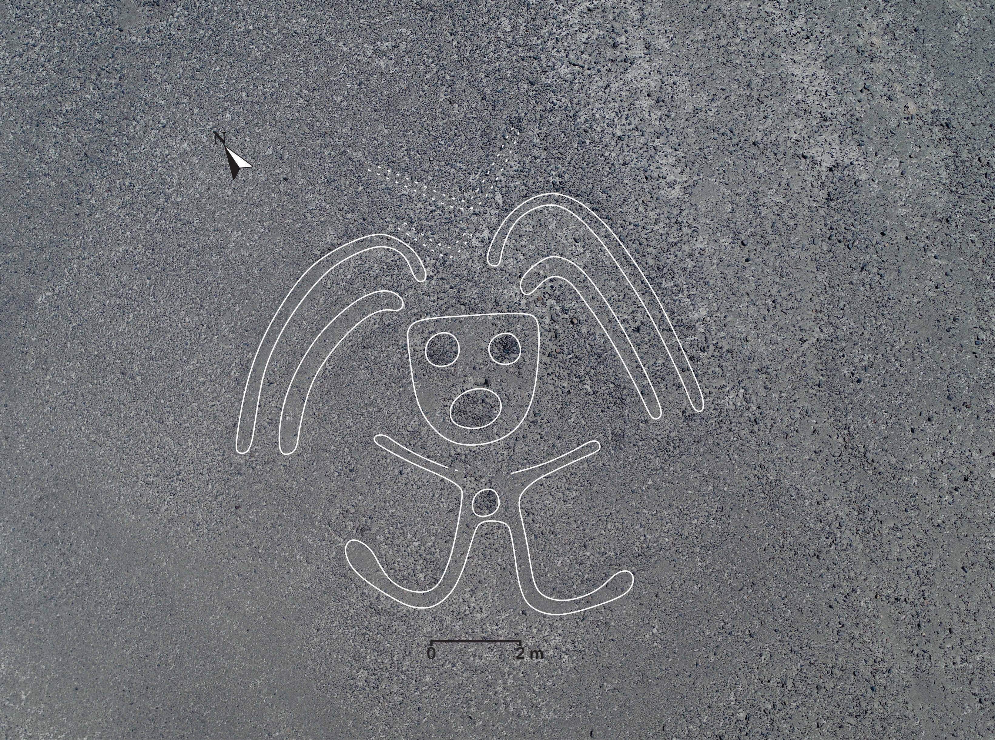 hinh ve co Peru anh 6