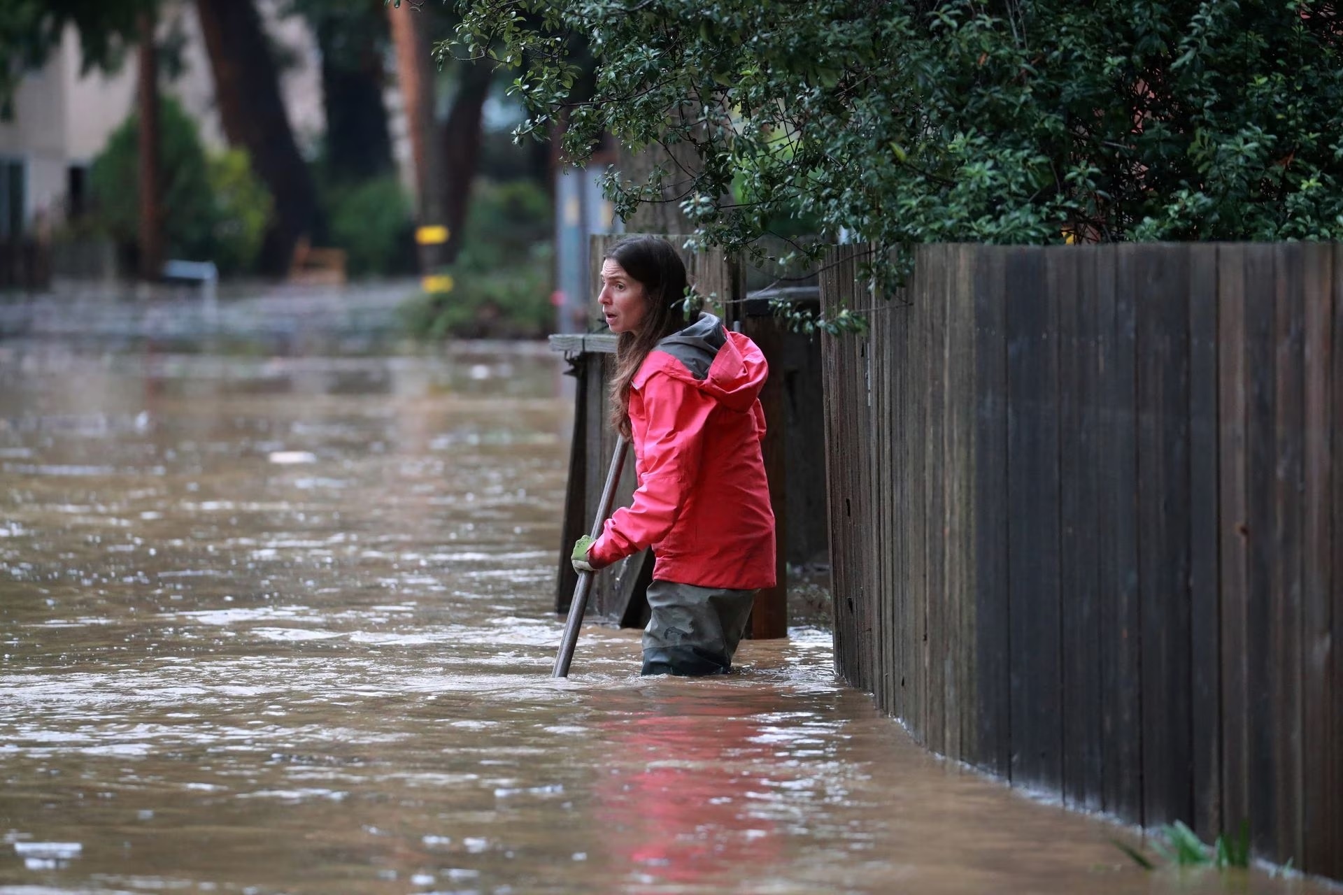 lu lut California anh 8