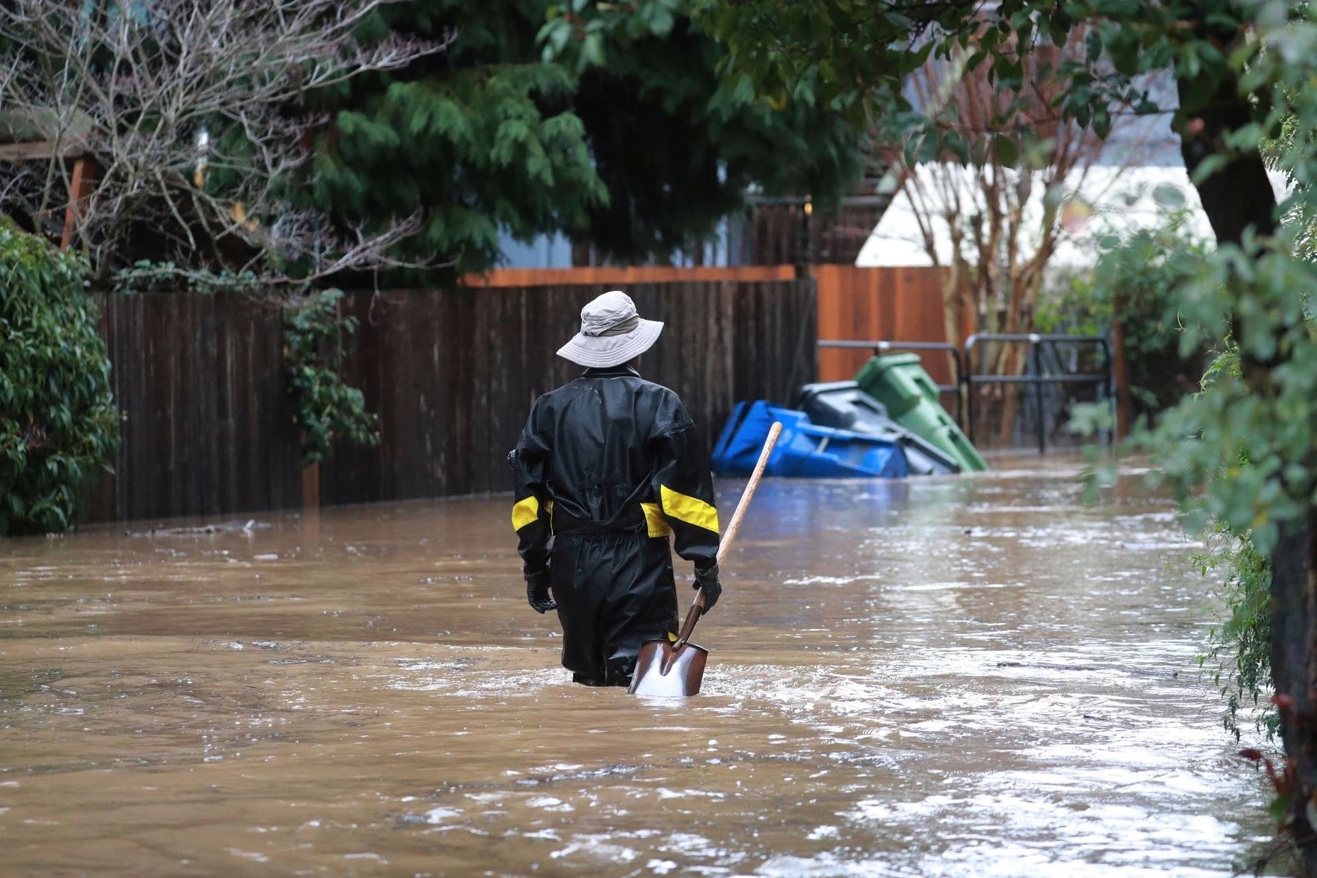 lu lut California anh 11