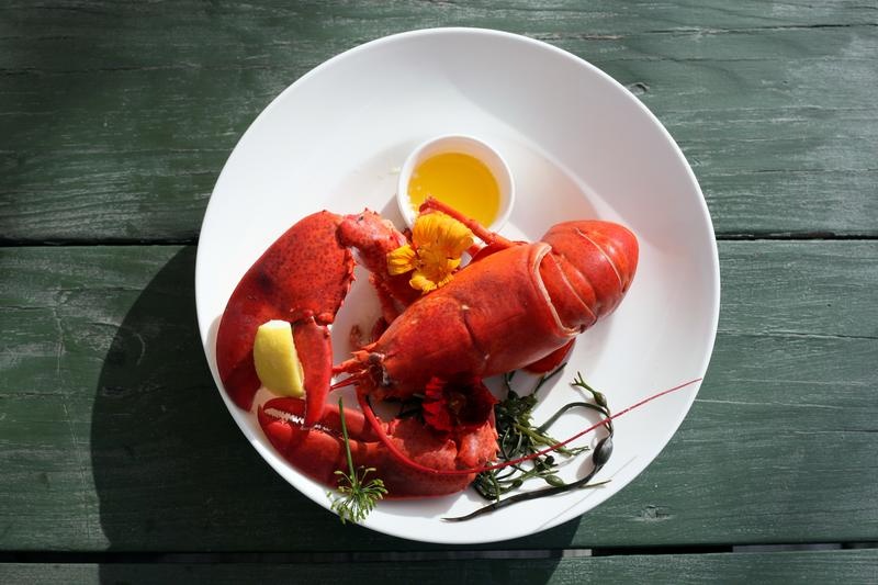 Trung Quoc can nhac 'xoa an' cho tom hum Australia hinh anh