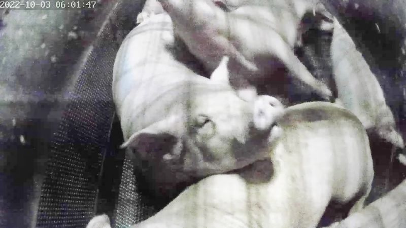 May quay len ghi lai canh ben trong buong ngat khi tai lo mo lon o My hinh anh