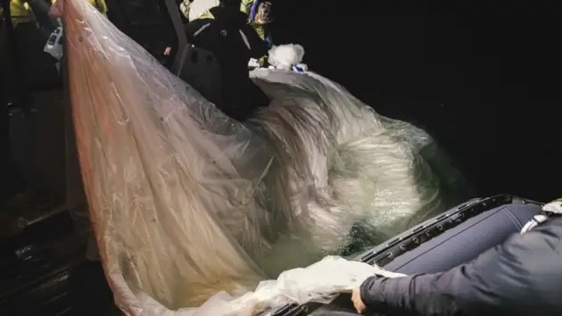 khinh khi cau do tham anh 5