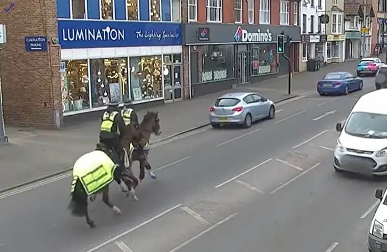 Canh sat Anh cuoi ngua ruot nguoi vua cam dien thoai vua lai xe hinh anh