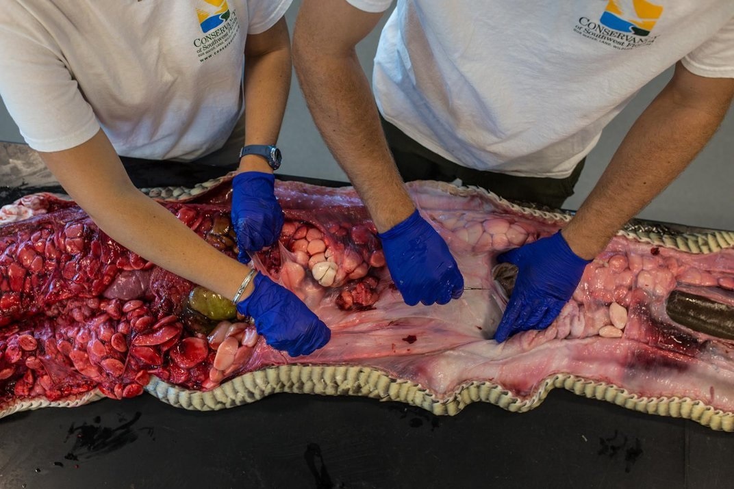 tran o Florida anh 3