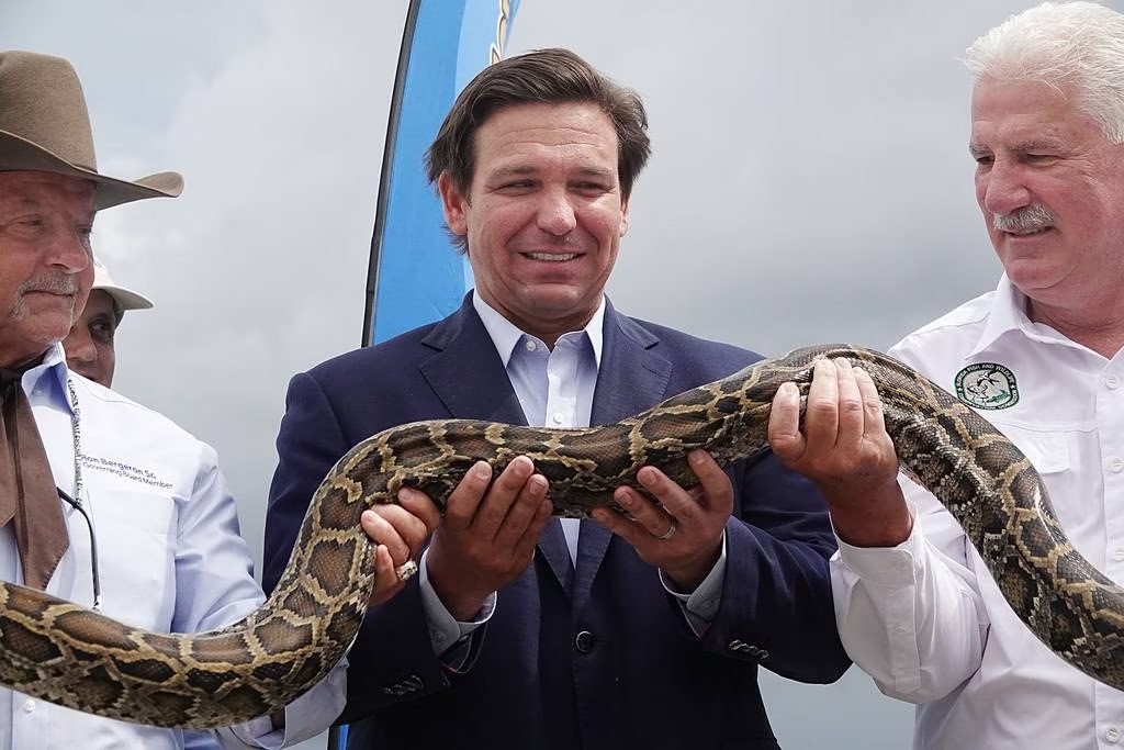 tran o Florida anh 4