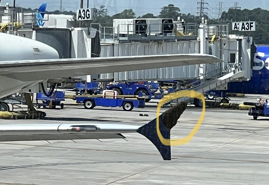 Chuyen bay o My bi hoan vi mot dan ong hinh anh