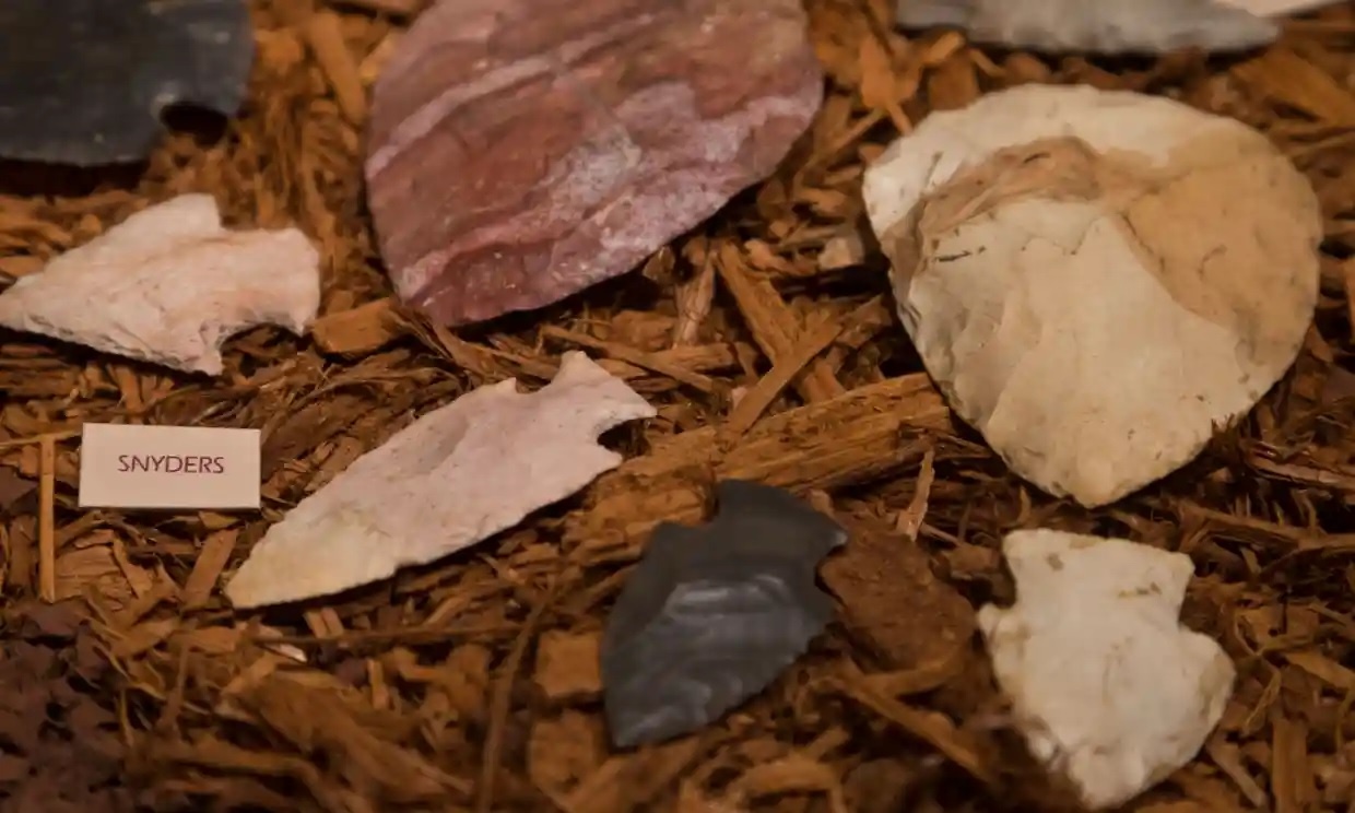 Phat hien moi dang ngac nhien ve nguon goc tho dan chau My hinh anh