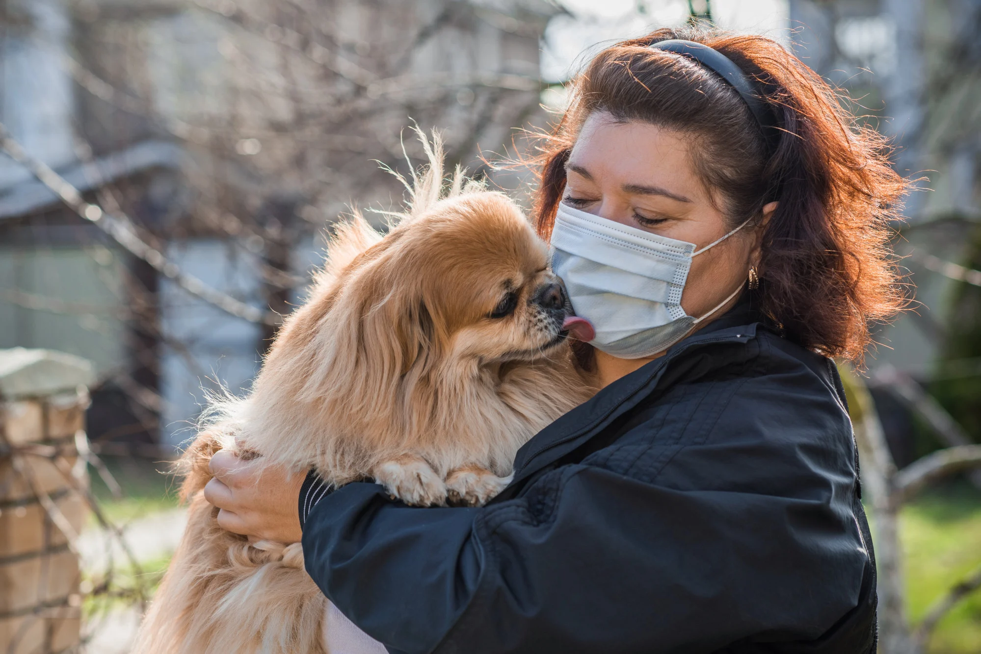 Thua ke tai san anh 2