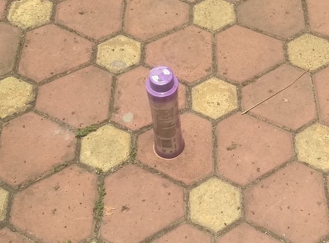 Lahaina Noon,  Khong bong,  mat troi thien dinh anh 10