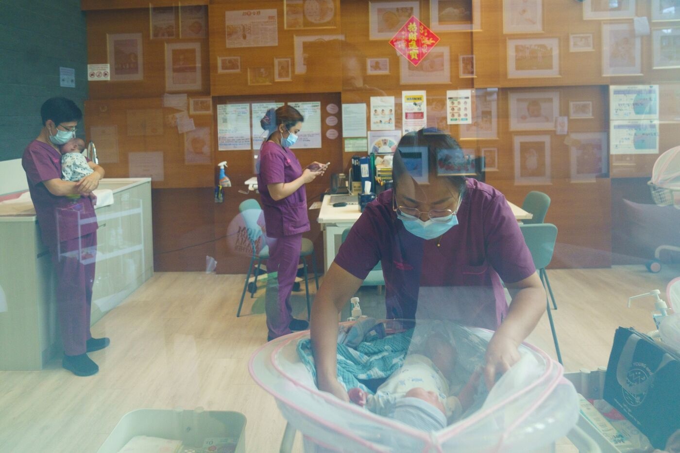 O cu,  sinh san anh 1