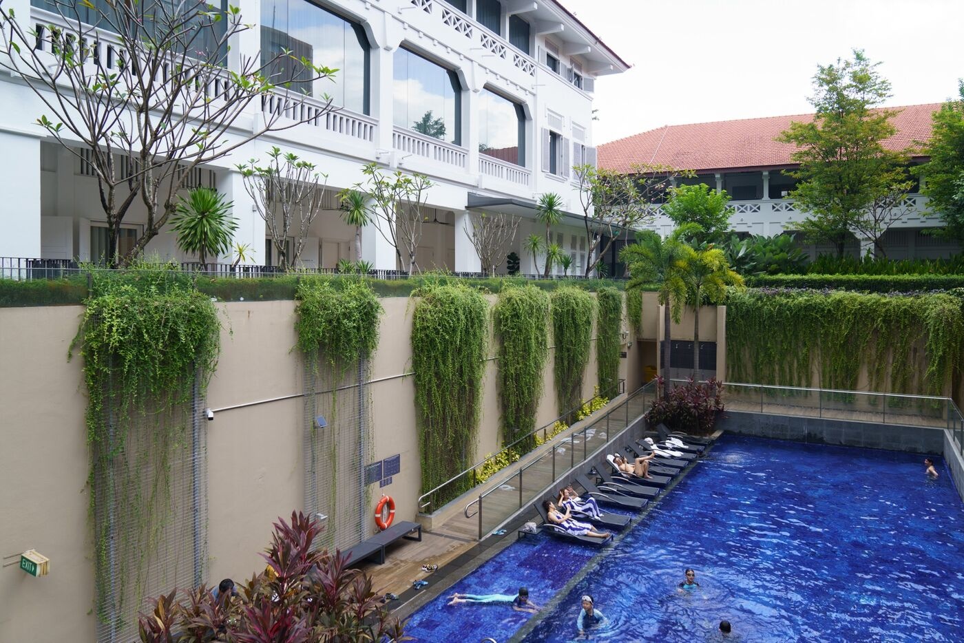 O cu,  sinh san anh 3