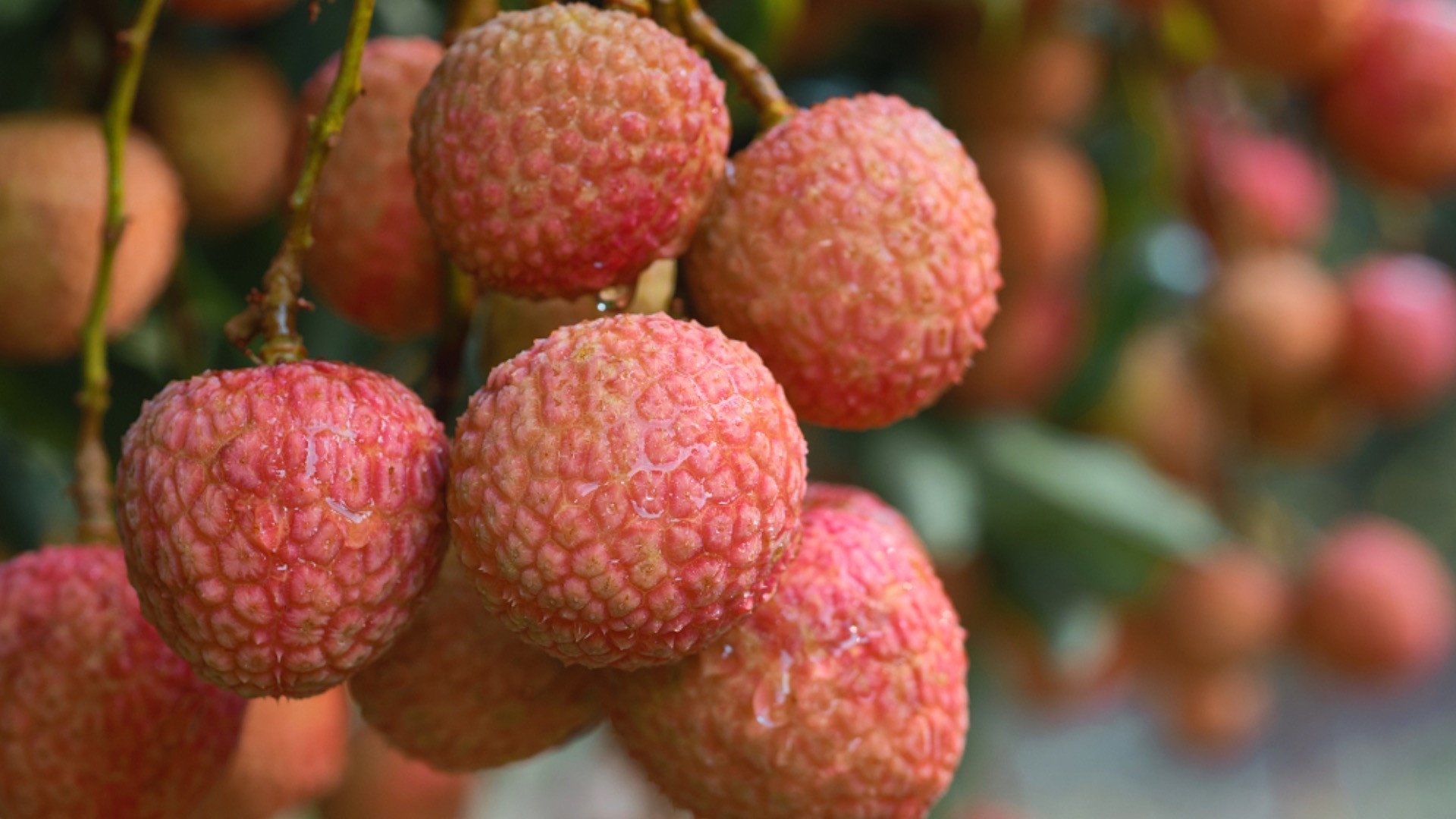 Vai thieu 4 ty USD cua Trung Quoc 'tham don' tham hoa thoi tiet hinh anh