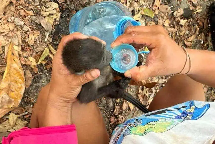 Nang nong,  Nhiet do cao anh 1