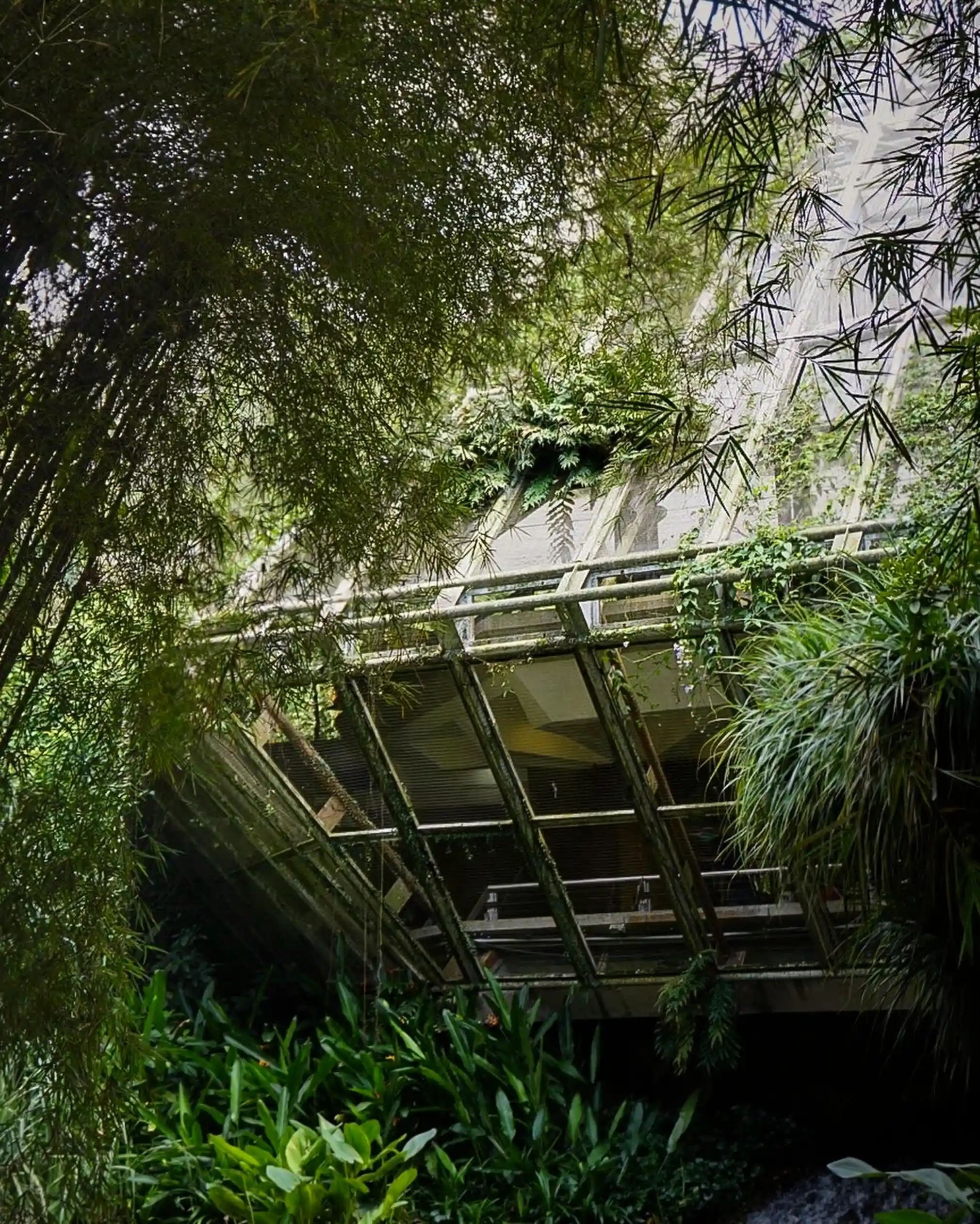 Chu nghia tho moc anh 12