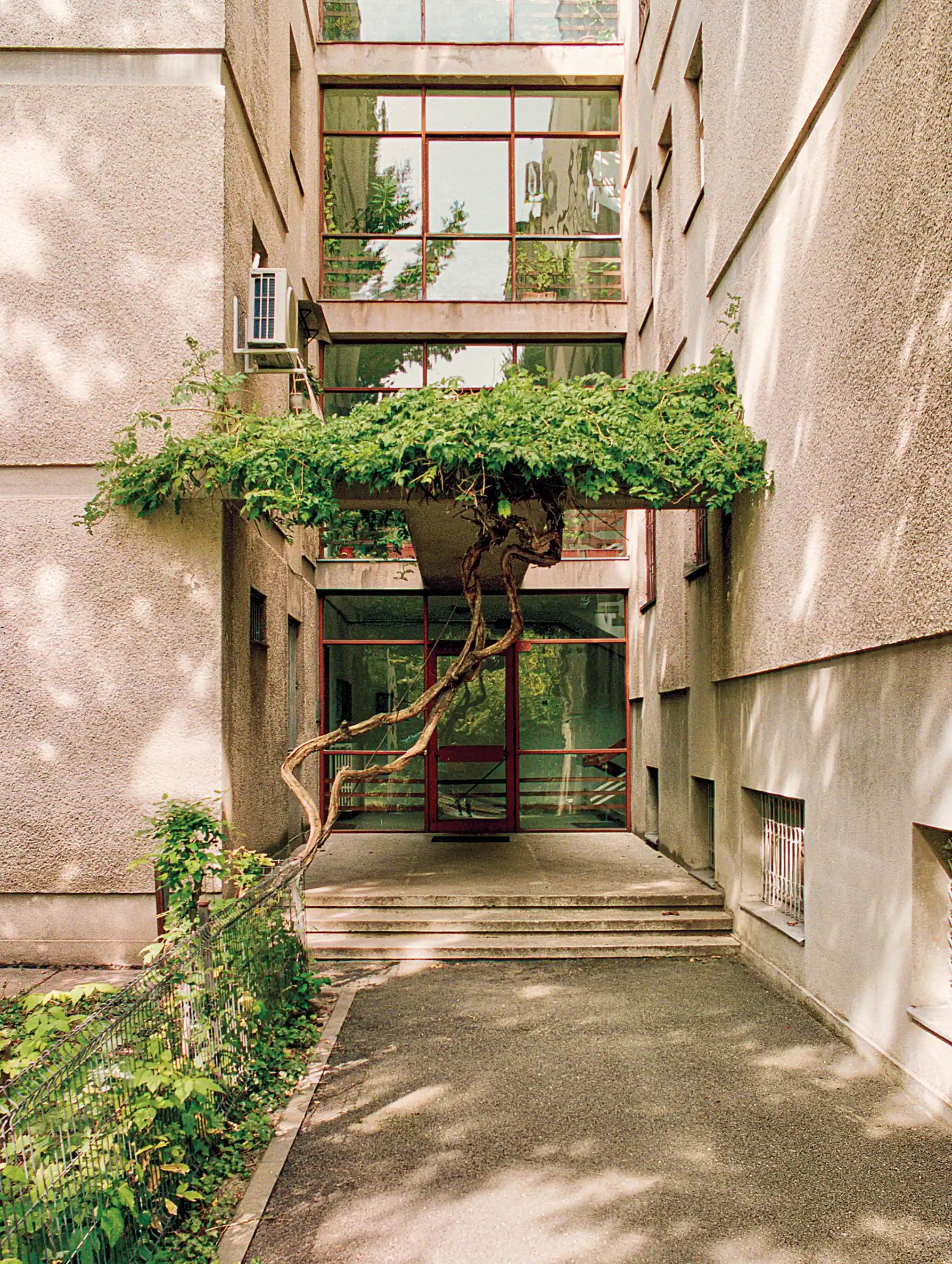 Chu nghia tho moc anh 3