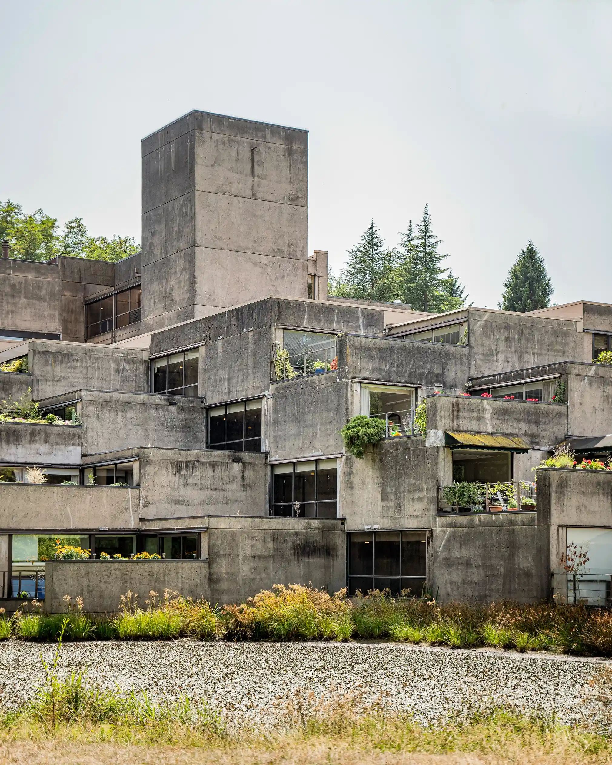 Chu nghia tho moc anh 5