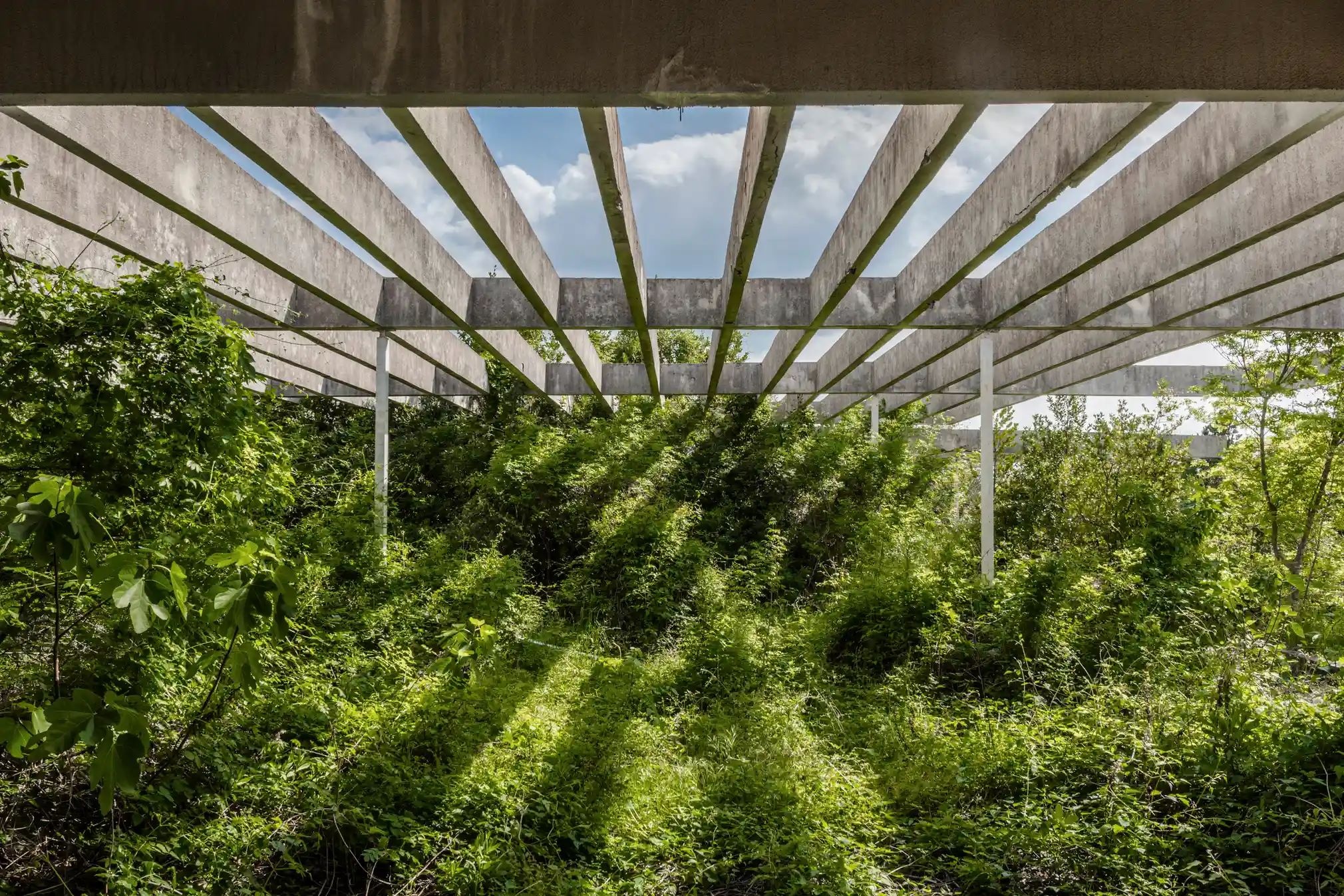 Chu nghia tho moc anh 10