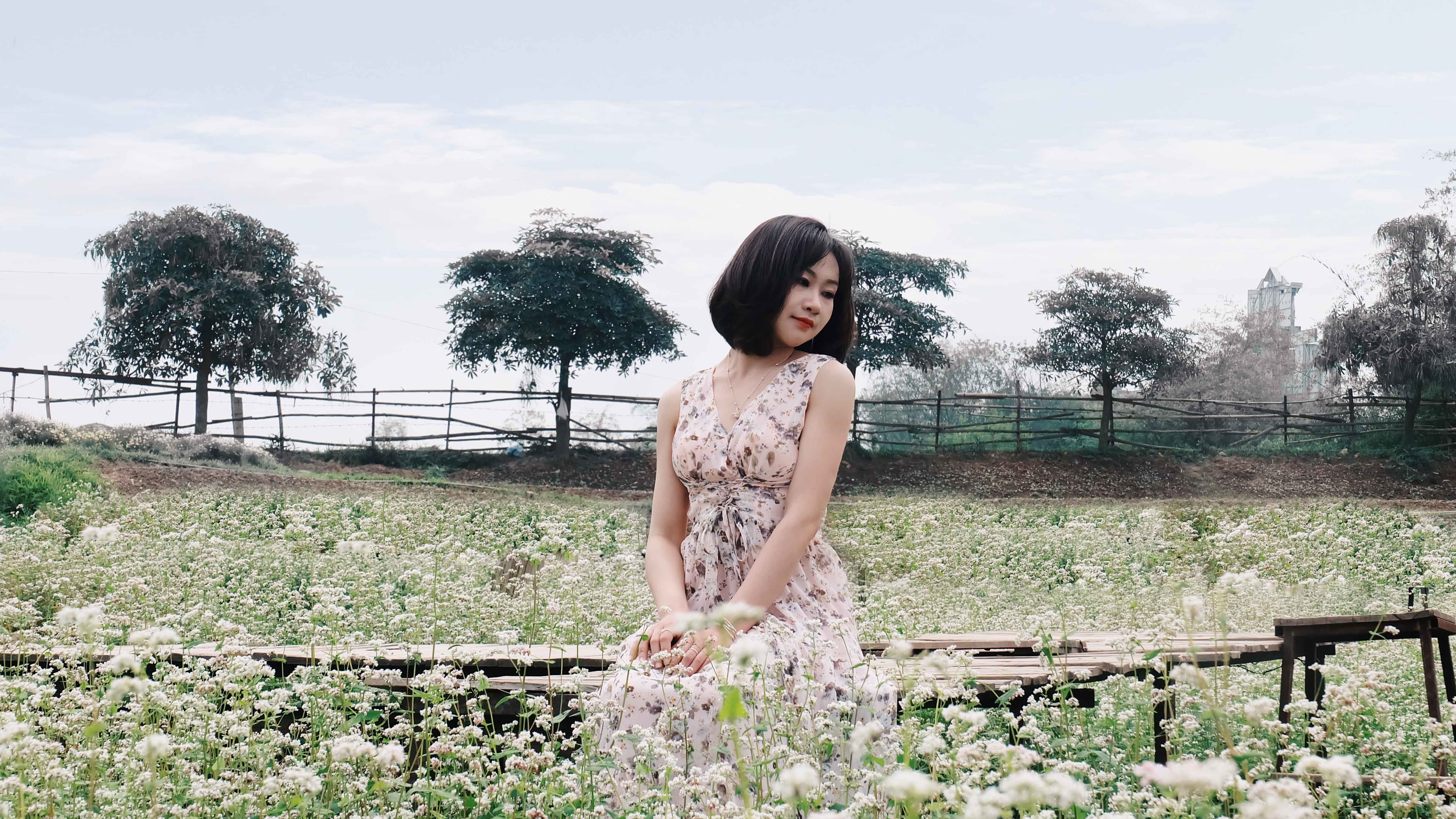 Hoa tam giac mach no ro giua trung tam Ha Noi hinh anh