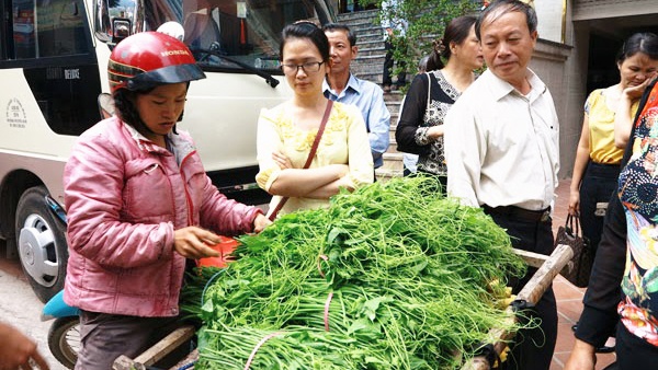 Ngon su su Tam Dao hut khach ngay nghi le hinh anh