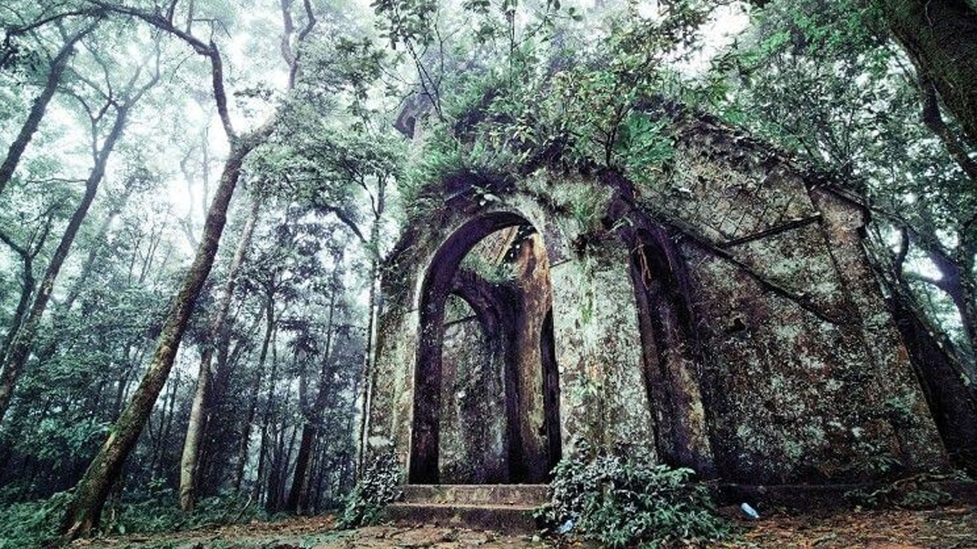 #Justgo: Kham pha ve dep ma mi cua nha tho do Ba Vi hinh anh