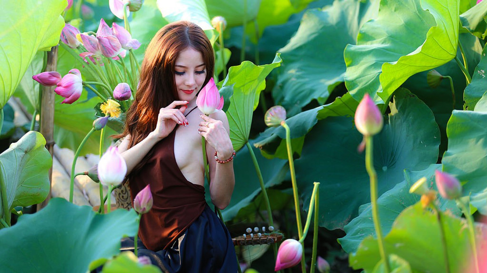 Nguoi Ha Noi hao huc chup anh sen ho Tay hinh anh