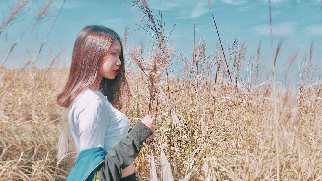 #Justgo: Mua co lau trang muot tai Binh Lieu hinh anh