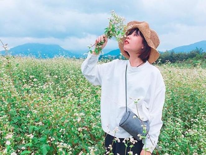 4 dia diem ly tuong ngam hoa tam giac mach o Ha Giang hinh anh