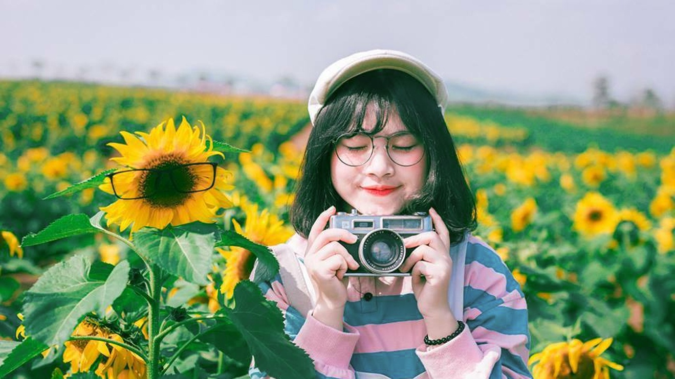 Canh dong hoa huong duong dep nhat mien Trung no ro hinh anh