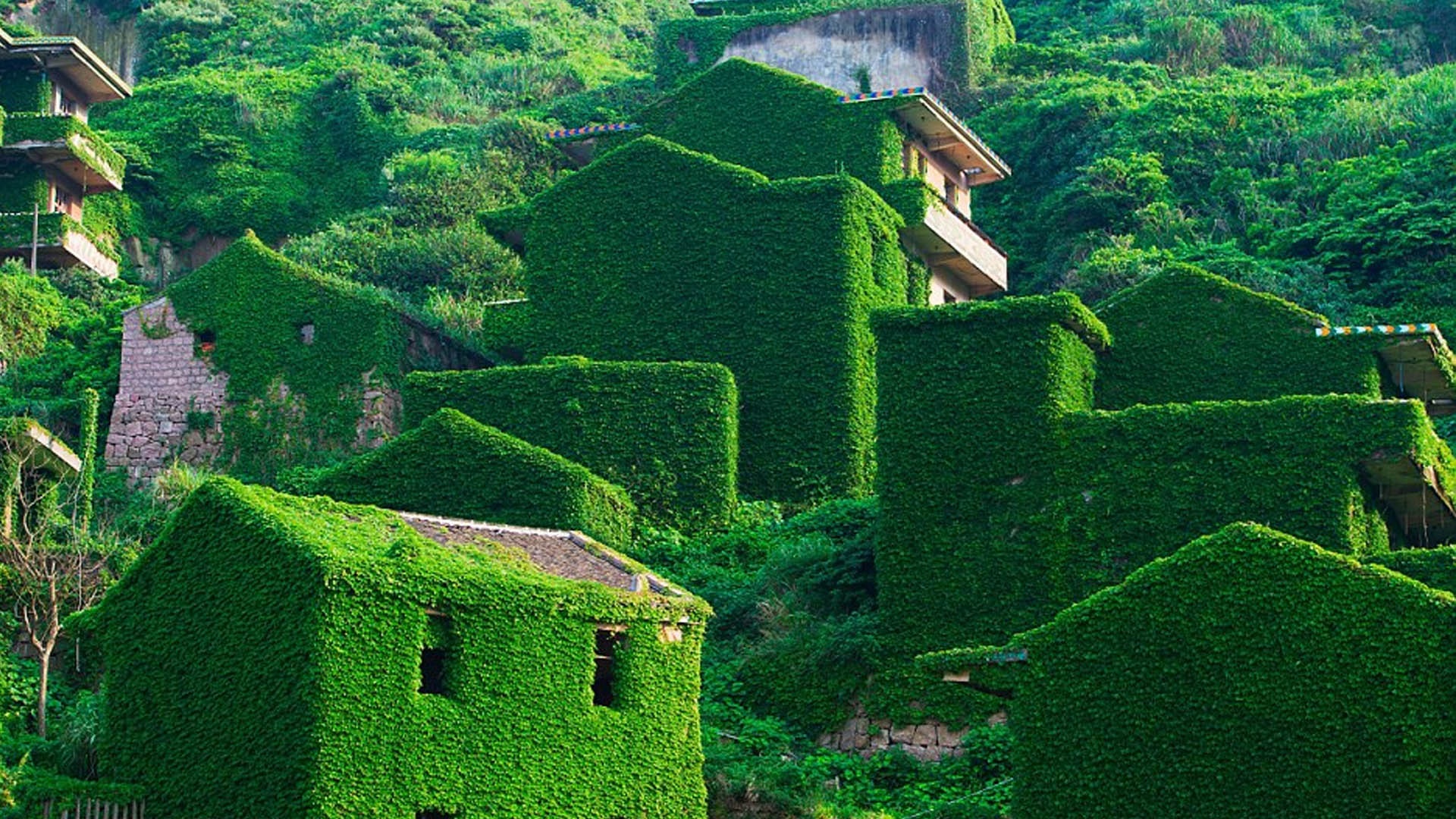 Lang chai bo hoang dep huyen bi nhu canh phim Hollywood hinh anh