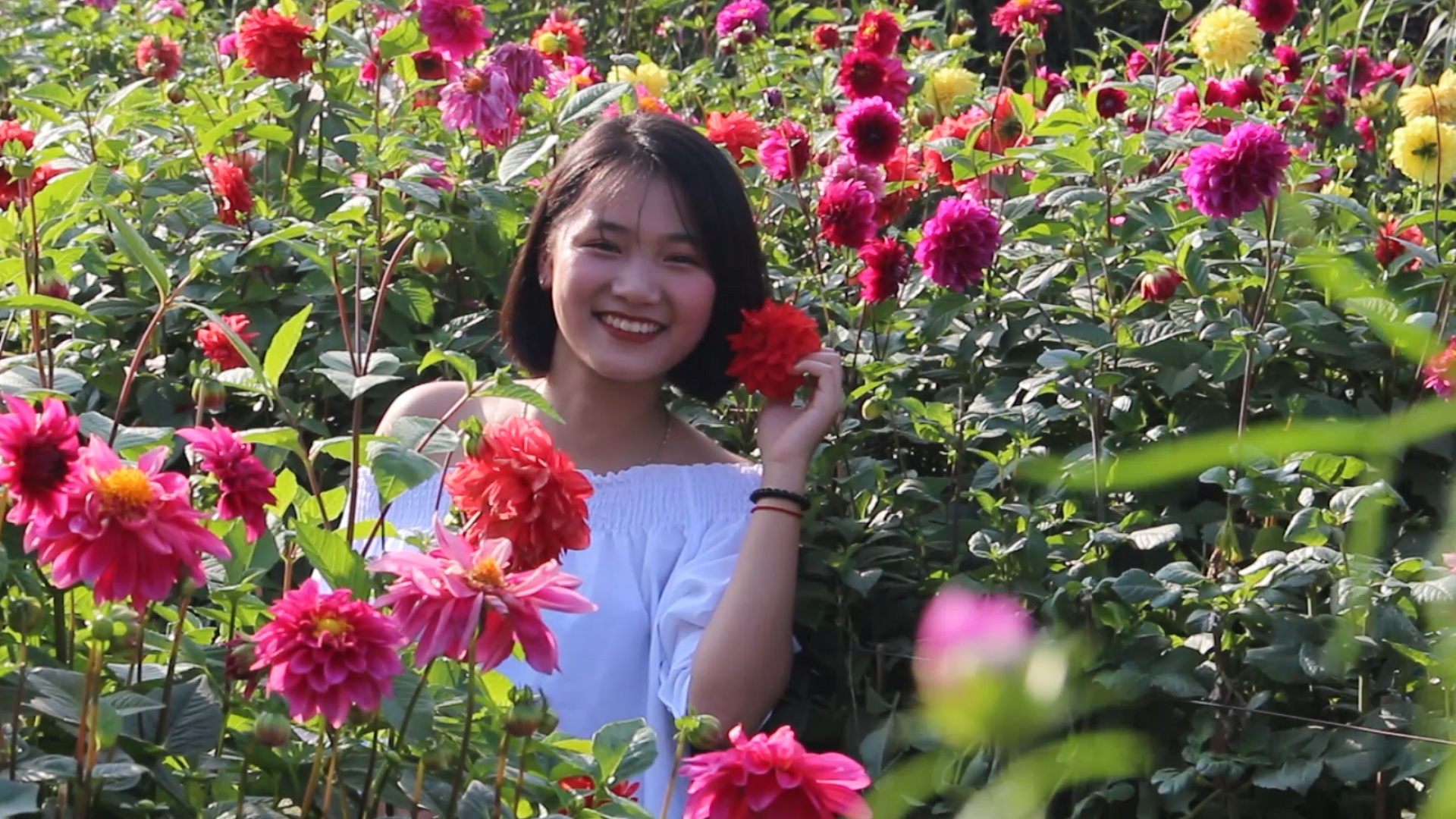 Gioi tre Ha thanh chi tien trieu chup anh hoa ngay giap Tet hinh anh