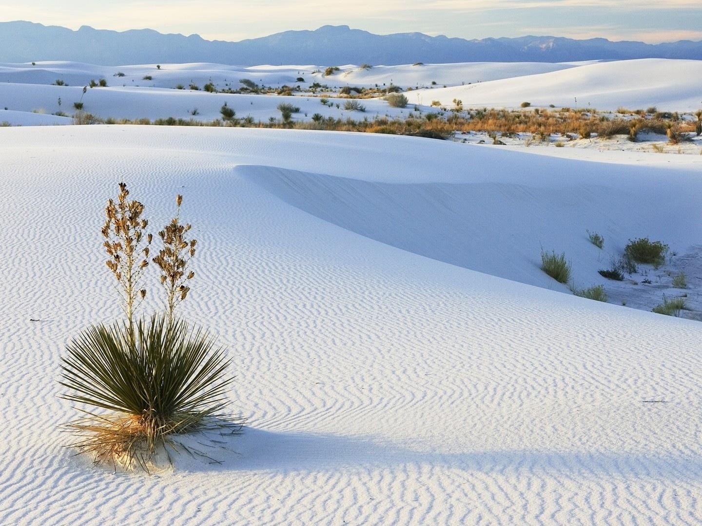 Sa mac thach cao mat lanh, trang nhu tuyet o My hinh anh
